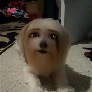 Meet your Posher, Saima